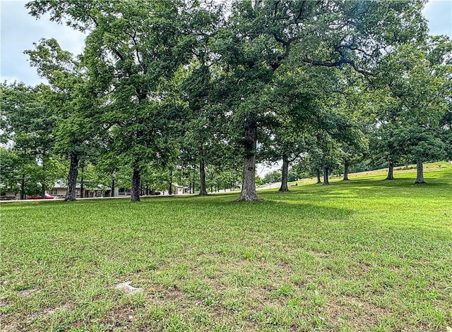 3 Horseshoe Dr, Holiday Island, AR 72631 - photo 45