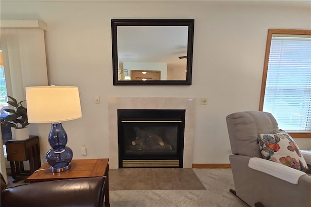 3 Horseshoe Dr, Holiday Island, AR 72631 - photo 16
