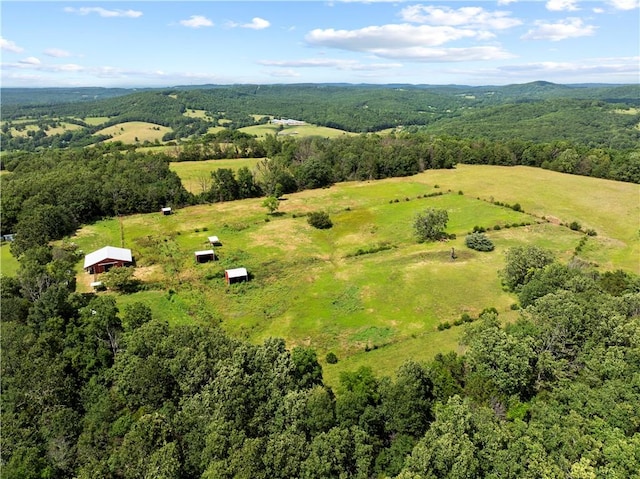 617 County Road 736, Berryville, AR 72616 - view of rural area featuring a heavily wooded area