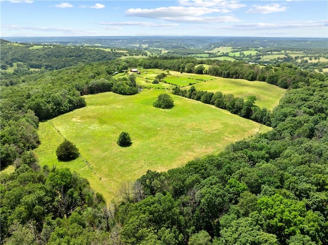 617 County Road 736, Berryville, AR 72616 - bird's eye view of a forest