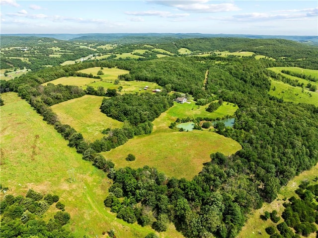 617 County Road 736, Berryville, AR 72616 - drone / aerial view of a forest