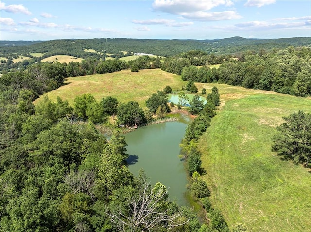 617 County Road 736, Berryville, AR 72616 - aerial view of a large body of water and a forest