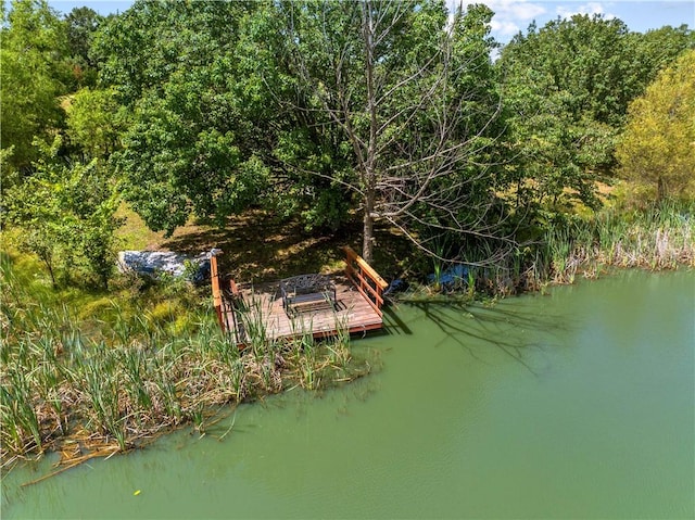 617 County Road 736, Berryville, AR 72616 - view of dock