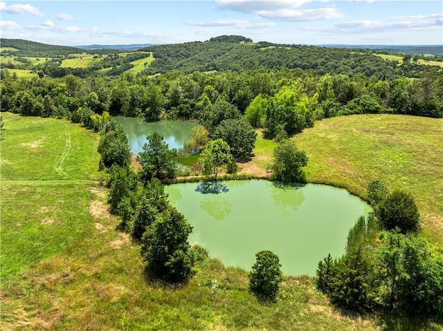 617 County Road 736, Berryville, AR 72616 - drone / aerial view of a nearby body of water and a heavily wooded area