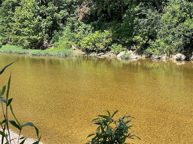 Stone River Ln, Berryville, AR 72616