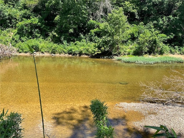Stone River Ln, Berryville, AR 72616