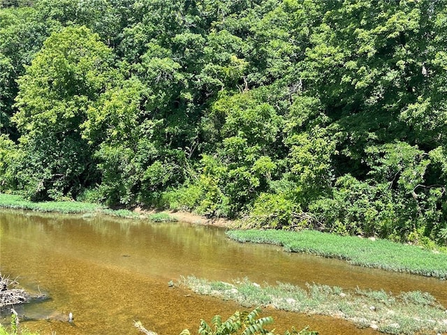 Stone River Ln, Berryville, AR 72616