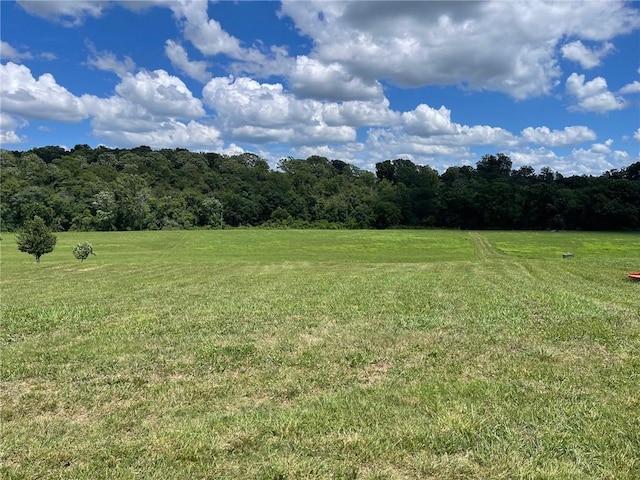 Stone River Ln, Berryville, AR 72616