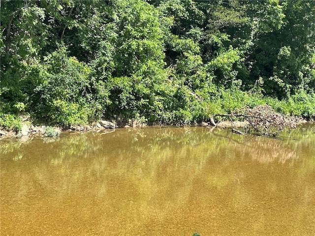 Stone River Ln, Berryville, AR 72616