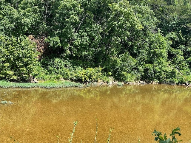 Stone River Ln, Berryville, AR 72616