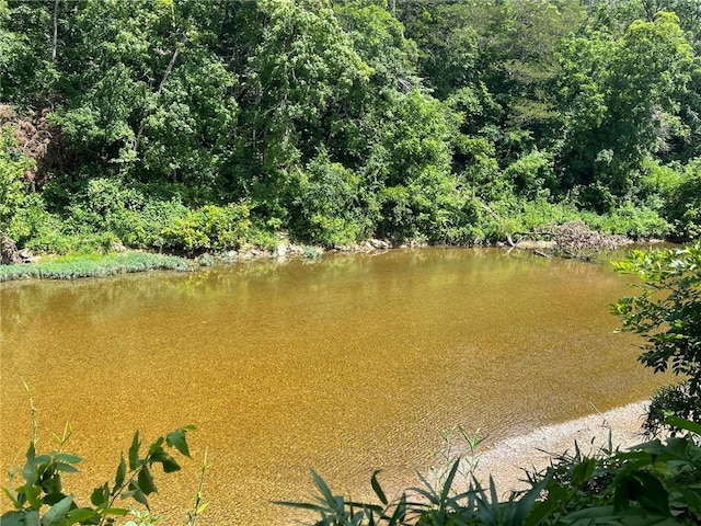 Stone River Ln, Berryville, AR 72616