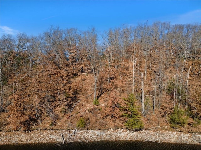 Churchill Dr, Bella Vista, AR 72715 - photo 22