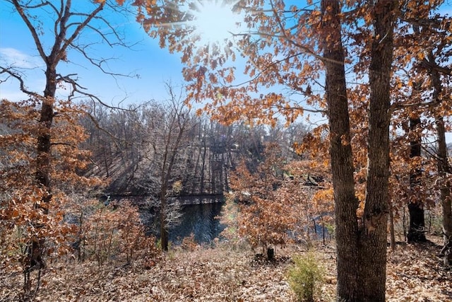 Churchill Dr, Bella Vista, AR 72715 - photo 23