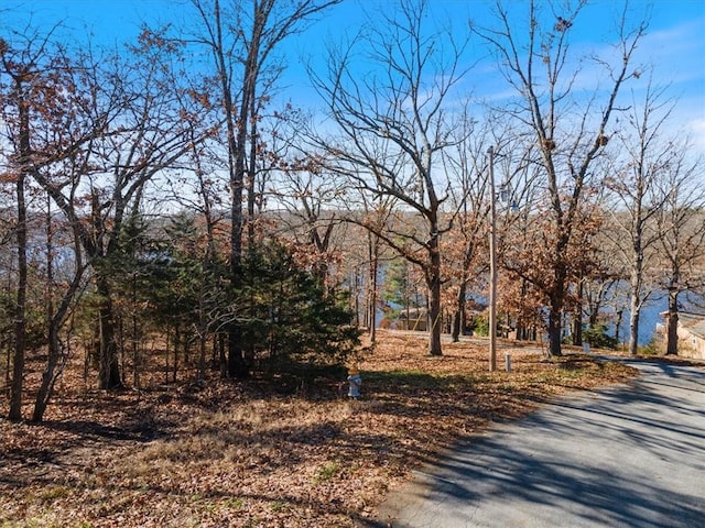 Churchill Dr, Bella Vista, AR 72715 - photo 3