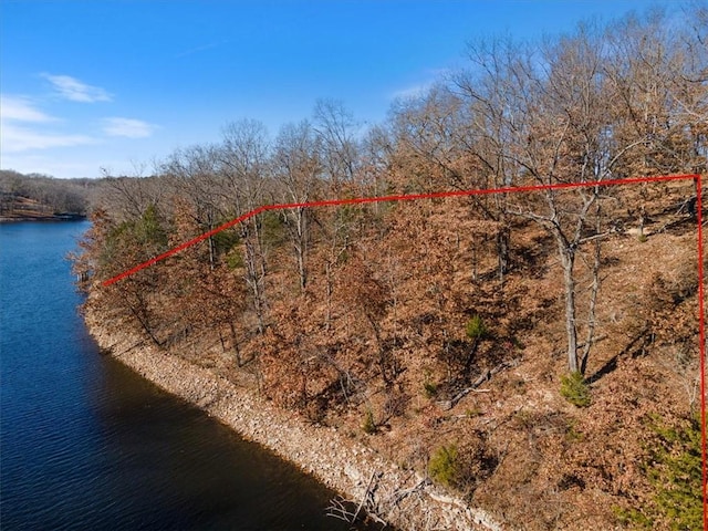 Churchill Dr, Bella Vista, AR 72715 - photo 4