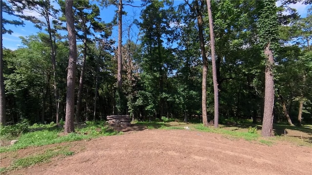234 Mcdonald Blvd, London, AR 72847 - photo 3