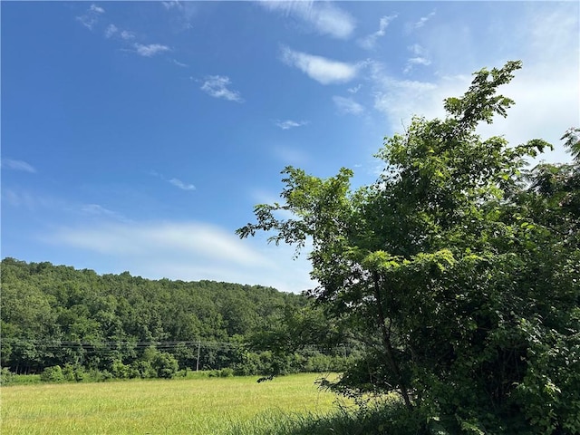 000 Denton Ferry Rd, Cotter, AR 72626