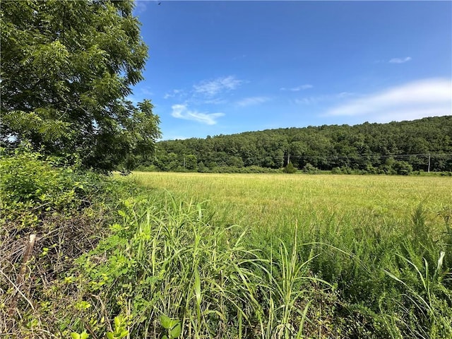 000 Denton Ferry Rd, Cotter, AR 72626