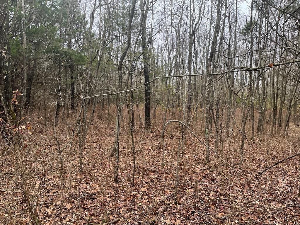 LOT17-BLOCK1 Oniell Cir, Bella Vista, AR 72715