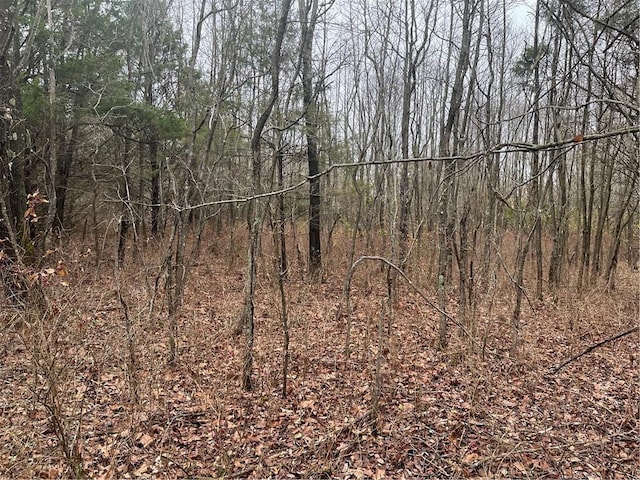 LOT17-BLOCK1 Oniell Cir, Bella Vista, AR 72715