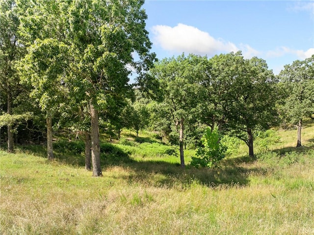 Payne Rd, Harrison, AR 72601 - photo 14