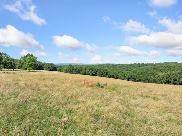Payne Rd, Harrison, AR 72601 - photo 16