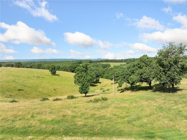 Payne Rd, Harrison, AR 72601 - photo 18