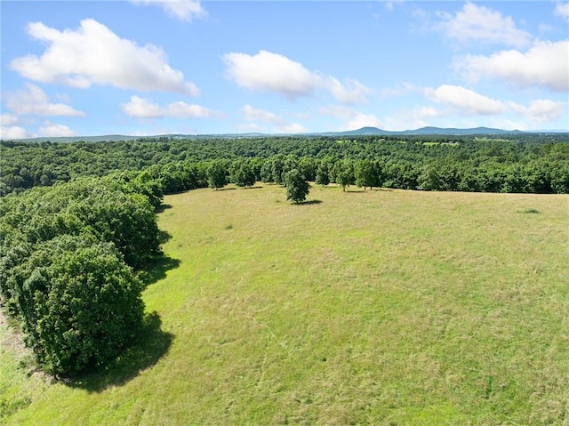 Payne Rd, Harrison, AR 72601 - photo 21