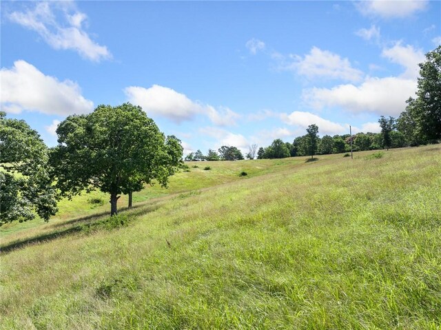 Payne Rd, Harrison, AR 72601 - photo 25