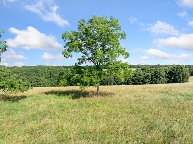 Payne Rd, Harrison, AR 72601 - photo 26