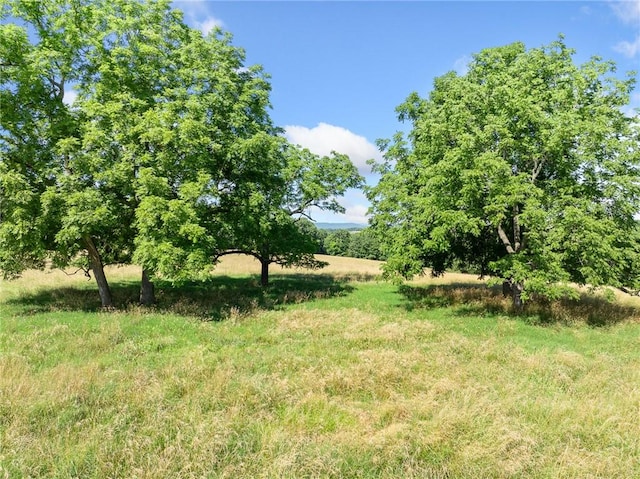 Payne Rd, Harrison, AR 72601 - photo 27