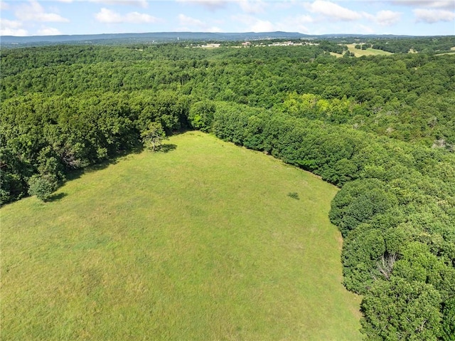 Payne Rd, Harrison, AR 72601 - photo 28
