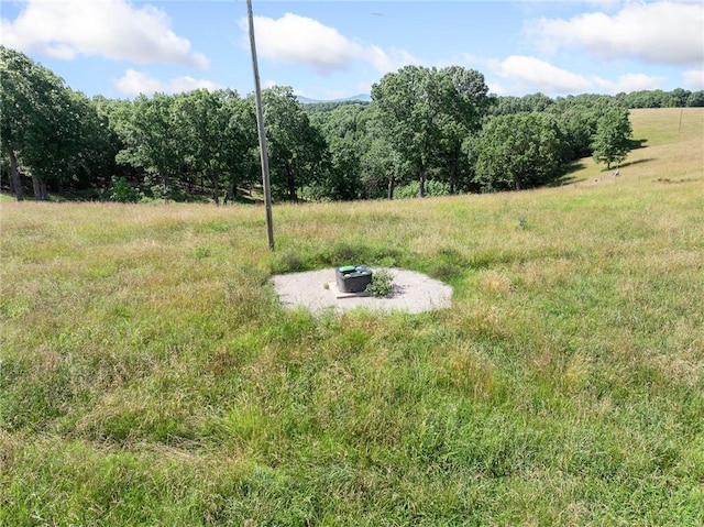Payne Rd, Harrison, AR 72601 - photo 29