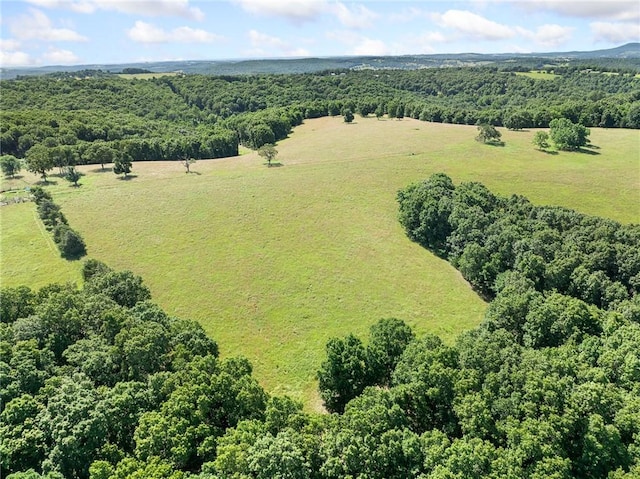 Payne Rd, Harrison, AR 72601 - photo 30