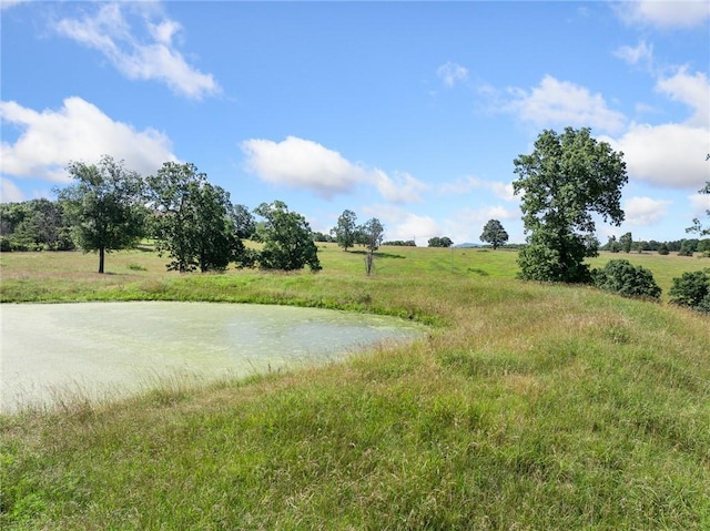 Payne Rd, Harrison, AR 72601 - photo 32