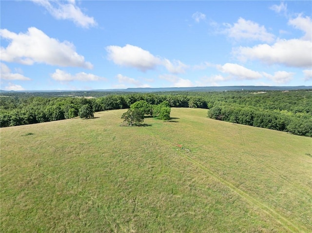 Payne Rd, Harrison, AR 72601 - photo 2
