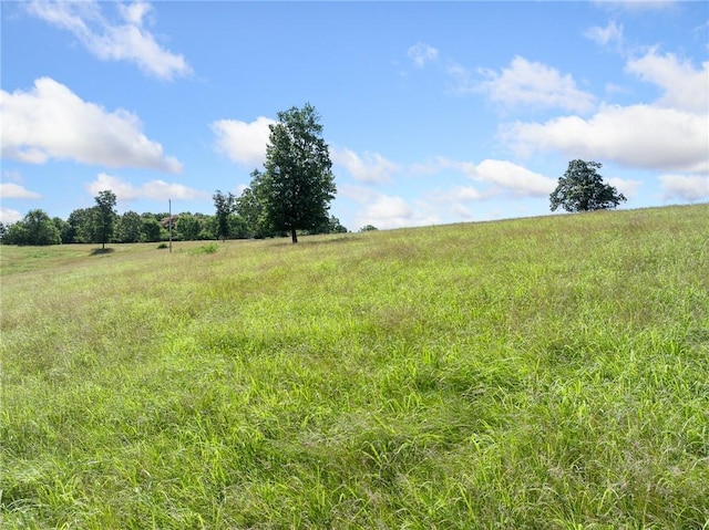 Payne Rd, Harrison, AR 72601 - photo 4