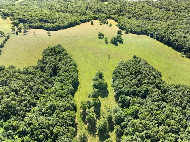 Payne Rd, Harrison, AR 72601 - photo 6