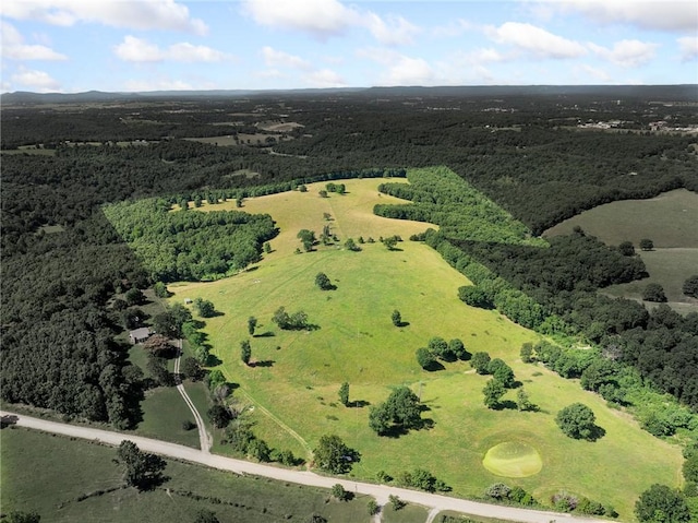 Payne Rd, Harrison, AR 72601 - photo 7