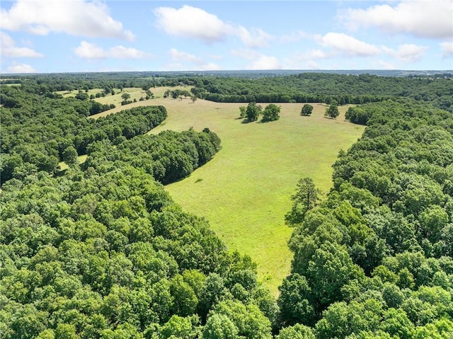 Payne Rd, Harrison, AR 72601 - photo 8