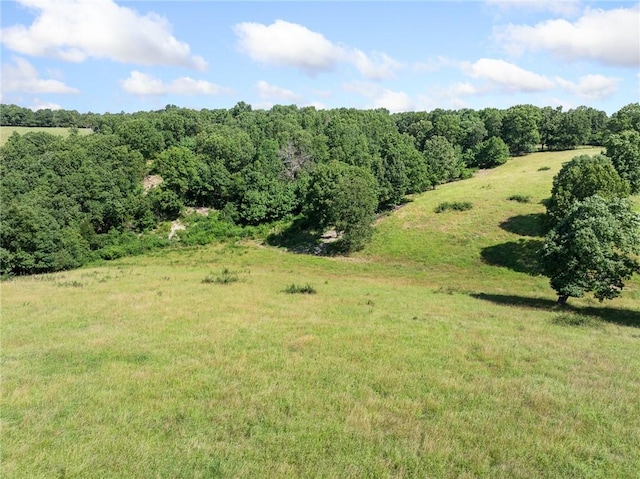 Payne Rd, Harrison, AR 72601 - photo 9