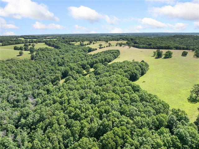 Payne Rd, Harrison, AR 72601 - photo 11