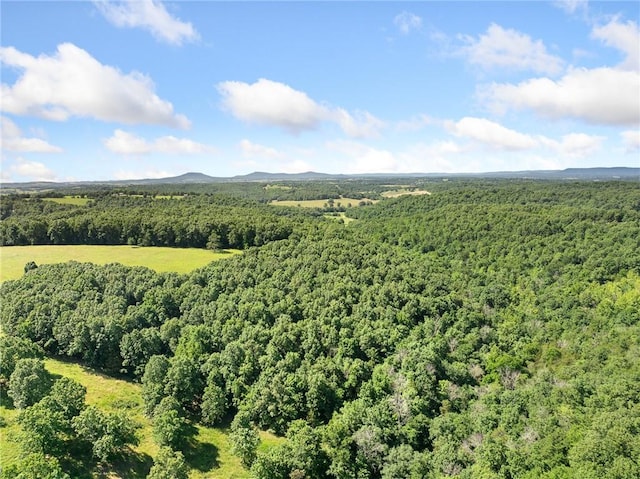 Payne Rd, Harrison, AR 72601 - photo 33