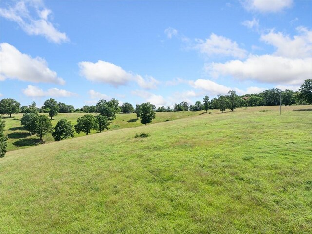 Payne Rd, Harrison, AR 72601 - photo 37