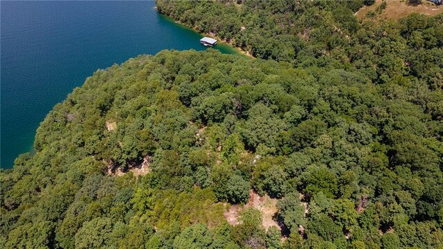11.5ACRES Sunset Dr, Eureka Springs, AR 72631 - photo 6