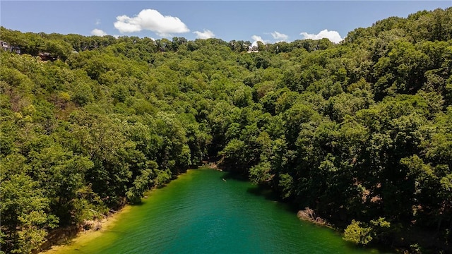 11.5ACRES Sunset Dr, Eureka Springs, AR 72631 - photo 7