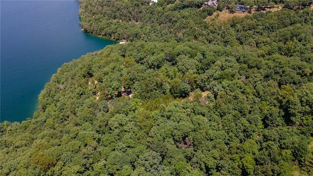 11.5ACRES Sunset Dr, Eureka Springs, AR 72631 - photo 9