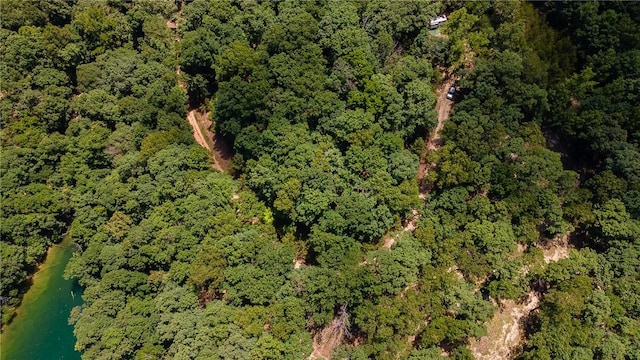 11.5ACRES Sunset Dr, Eureka Springs, AR 72631 - photo 10