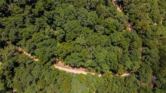 11.5ACRES Sunset Dr, Eureka Springs, AR 72631 - photo 11