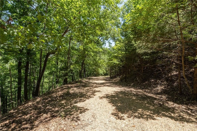 11.5ACRES Sunset Dr, Eureka Springs, AR 72631 - photo 12